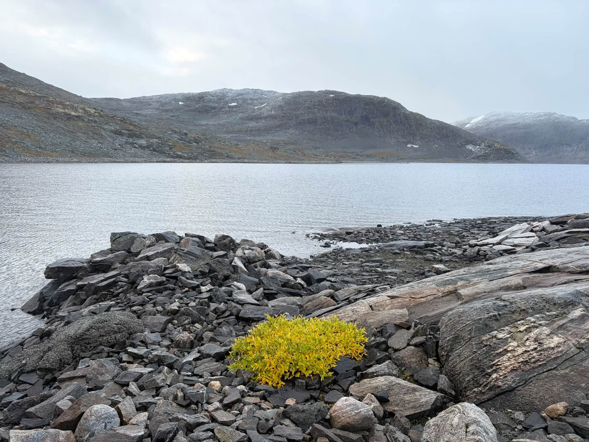 Vermevatnet