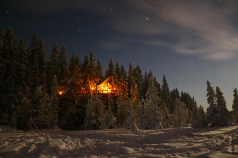 Nå kan du vinne overnatting åtte meter over bakken. Foto: tretopphytter.no