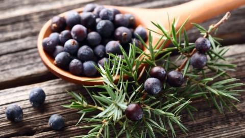 Planlegge organisasjonskurset i oktober