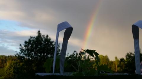 foto: AK