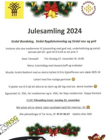 Julesamling 2024