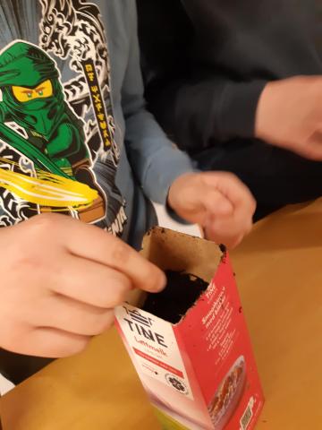 Barn sår frø i en melkekartong