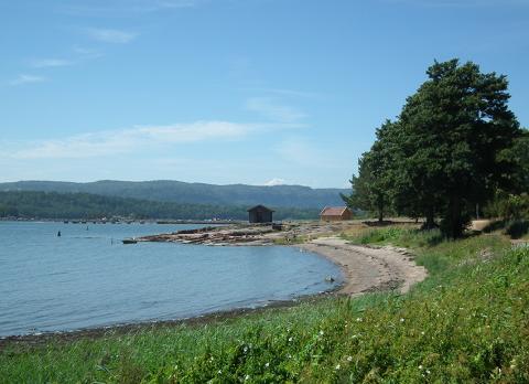Badeplassen ved buene i Sande
