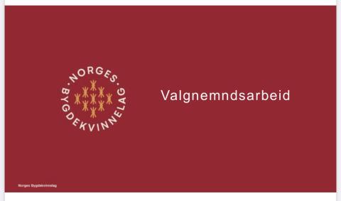 Valnemdsarbeid