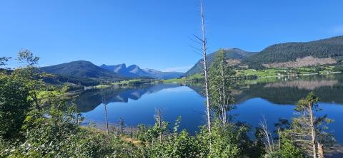 Eidsbygda foto: Monika Vågan