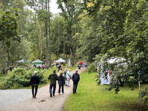 Økodagen 2025 i Rødsparken