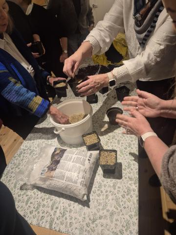 Her sår vi blodbeger.