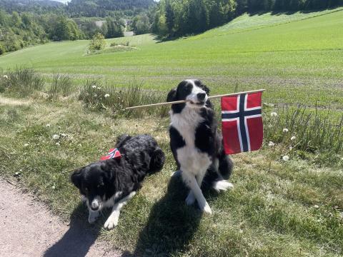 Det norske flagget har en lang tradisjon i Norge 