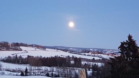 Flott med måneskinn