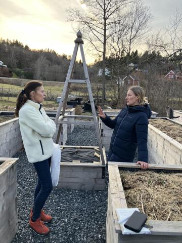 Prosjektleder og mentor