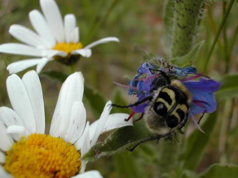 Juni 2026 er det landsmøte i Norges Bygdekvinnelag. 