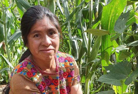 Doña Reyna har fått starthjelp av AMMID til å kjøpe husdyr og fått agronomisk opplæring. AMMID er en forkortelse som kan oversettes til «Sammenslutningen av Maya-Mam for fremme av utvikling». AMMID er en av Utviklingsfondets lokale samarbeidspartnere i Guatemala. Foto: Cesilie Aurbakken.