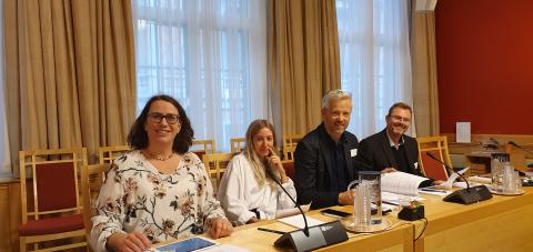 På høringen i Utenriks- og Forsvarskomiteen deltok Norges Bygdekvinnelag, Spire, Utviklingsfondet og Caritas