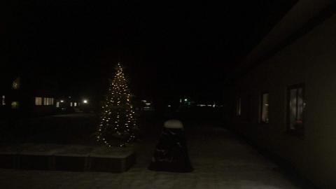 Juletreet i Sansehagen! Gitt som gåve av Lions.