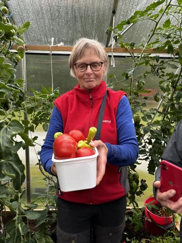 Solveig med bøtte med tomater