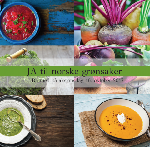 Norske grønsaker er i verdsklasse. Bli med på aksjon!