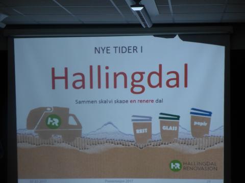 Nye tider i Hallingdal,