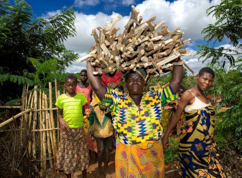 Kvinnelige småbønder, som disse kvinnene fra Malawi, har en nøkkelrolle å spille for å utrydde sult og produsere mat på en bærekraftig måte. Foto: Tine Poppe/Utviklingsfondet.