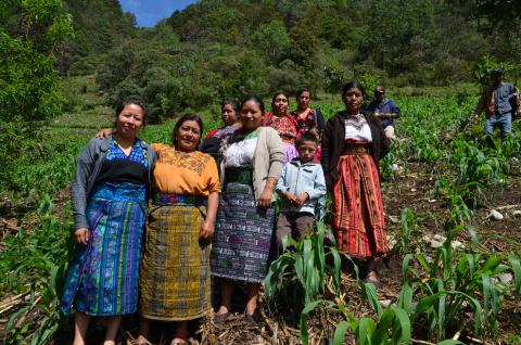 Småbønder i Guatemala kjemper for kaffens fremtid i Guatemala. Foto: Utviklingsfondet.