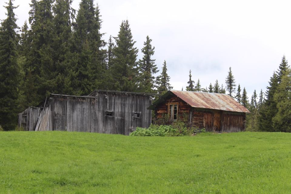 De sprekeste kom seg oppå Sigridset :)