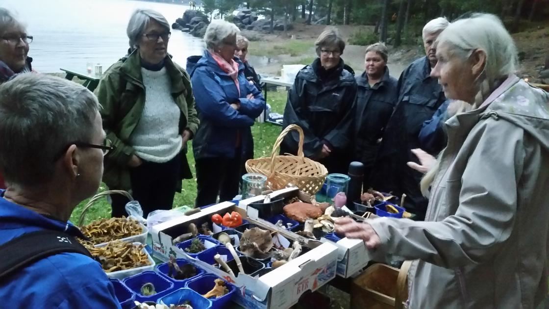 Ada kan sitt fag - kunnskapsrik foreleser!