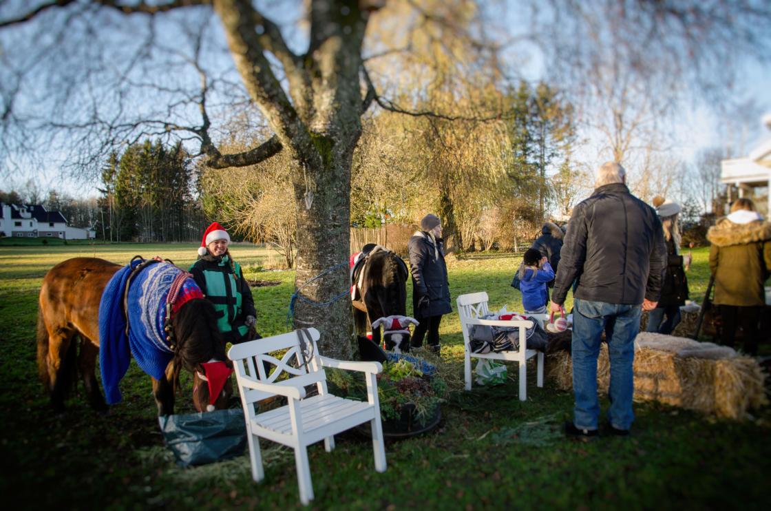 Ponni og hest er et fint innslag på et marked