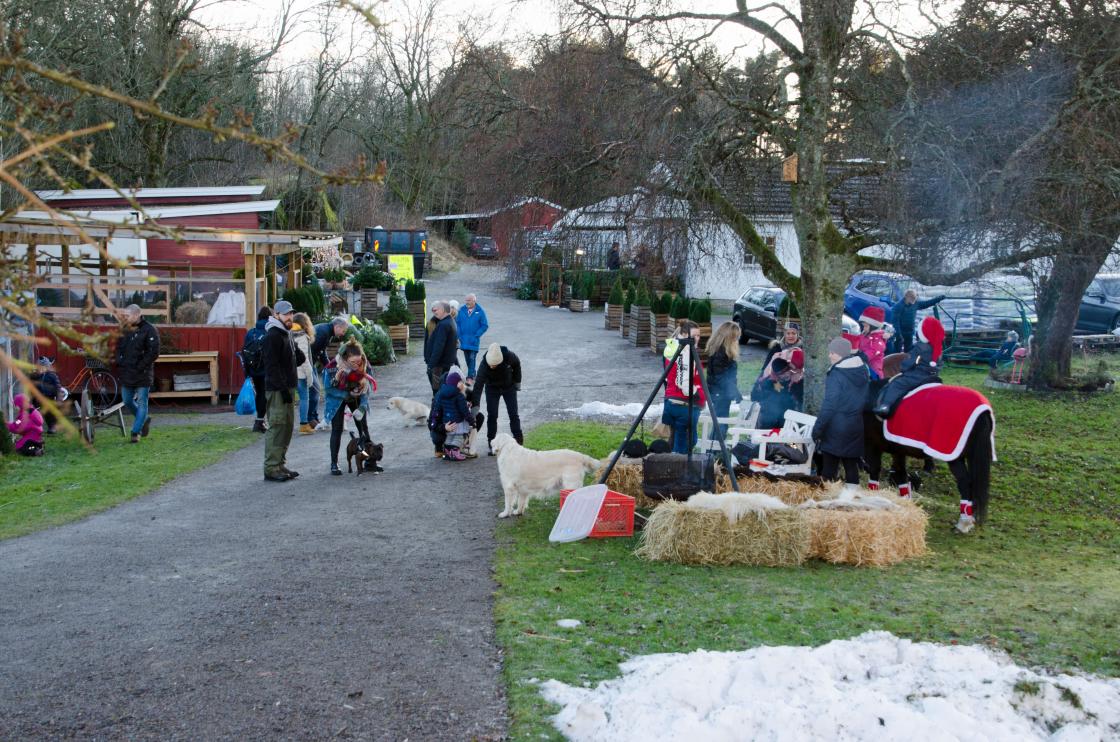 På tunet møtes både dyr og folk til en &amp;quot;prat&amp;quot;