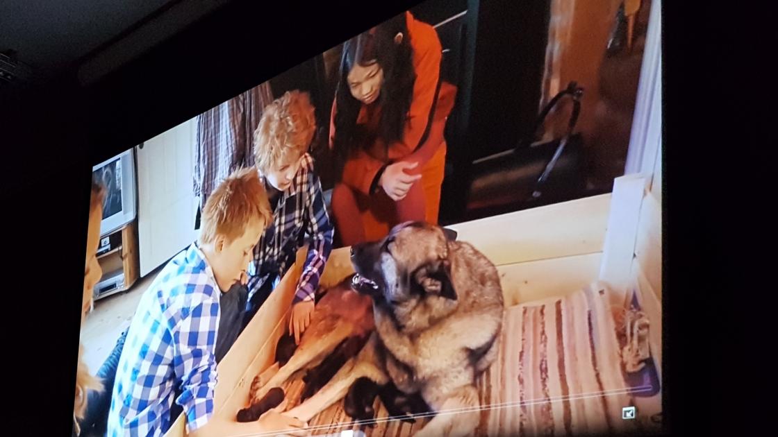 Bilder fra tv-serien &amp;quot;Helt Naturlig&amp;quot;.