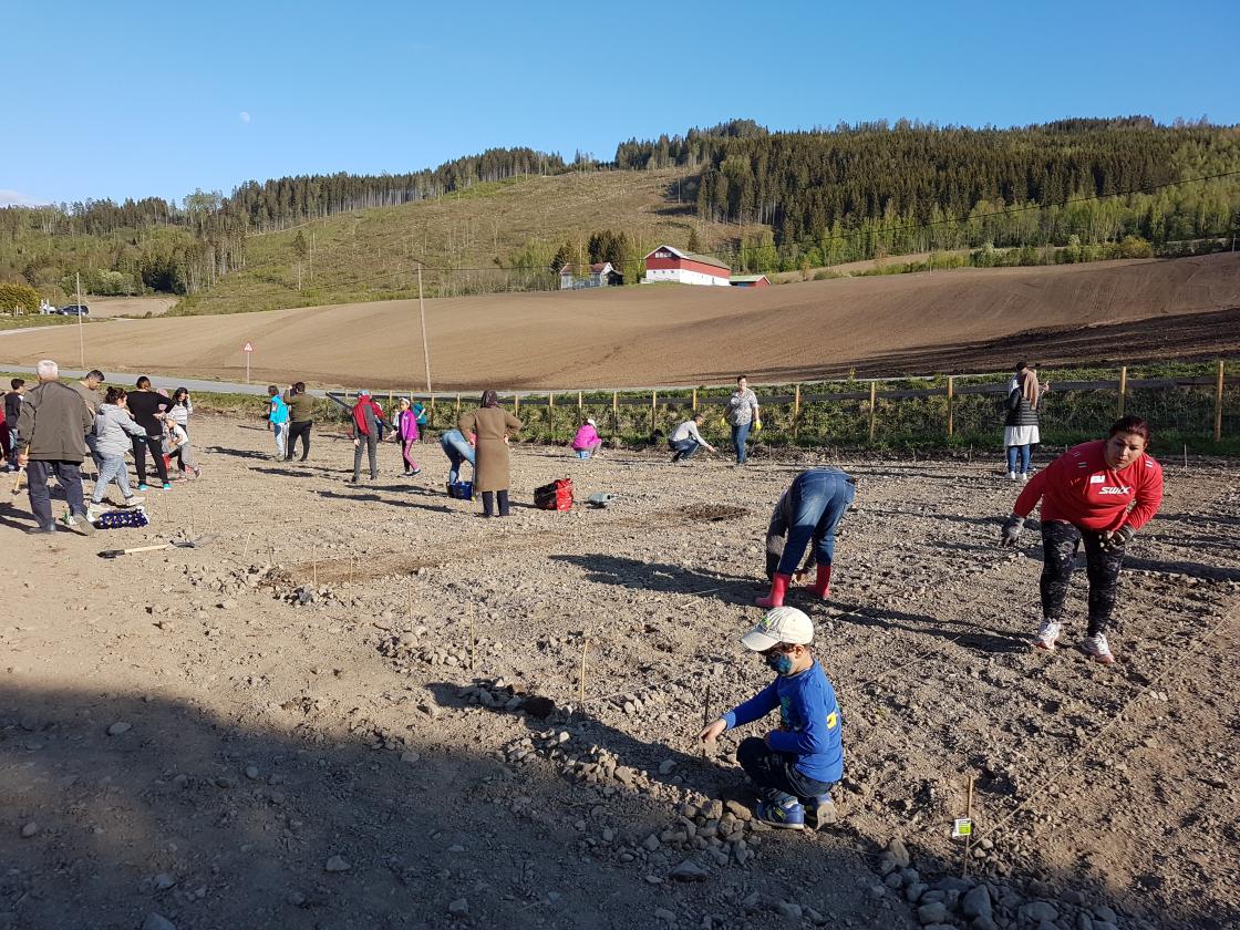 Stor aktivitetet - alle kvinner i arbeid!