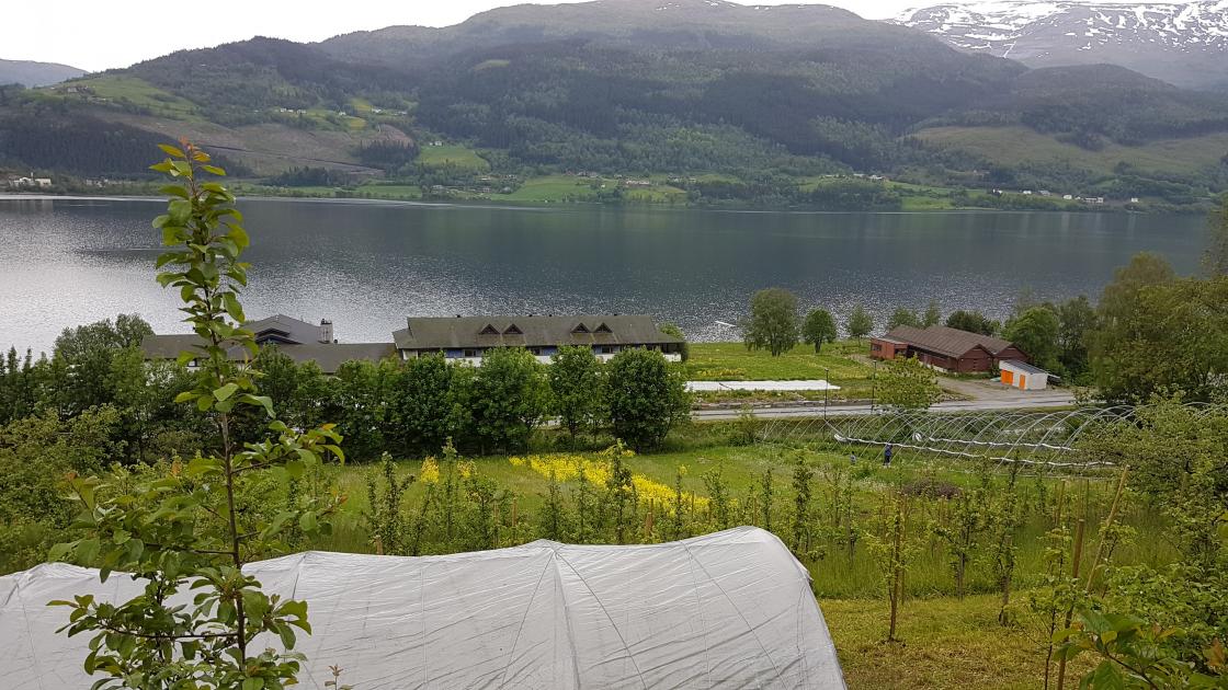 Utsikt mot Vandrarheimen, som høyrer til Finnegarden   foto: Aud-Marit Netteland