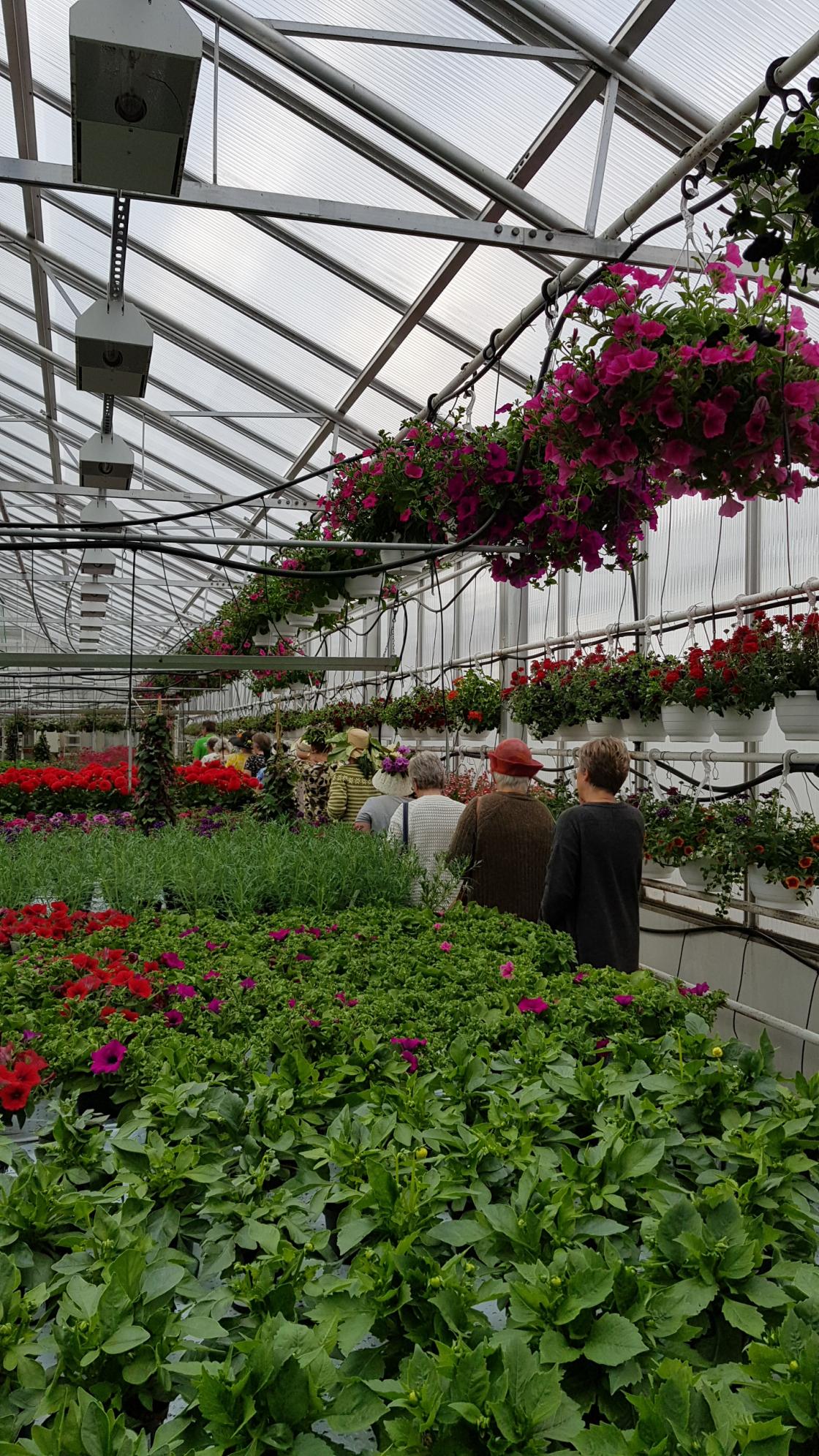 Så masse flotte blomster