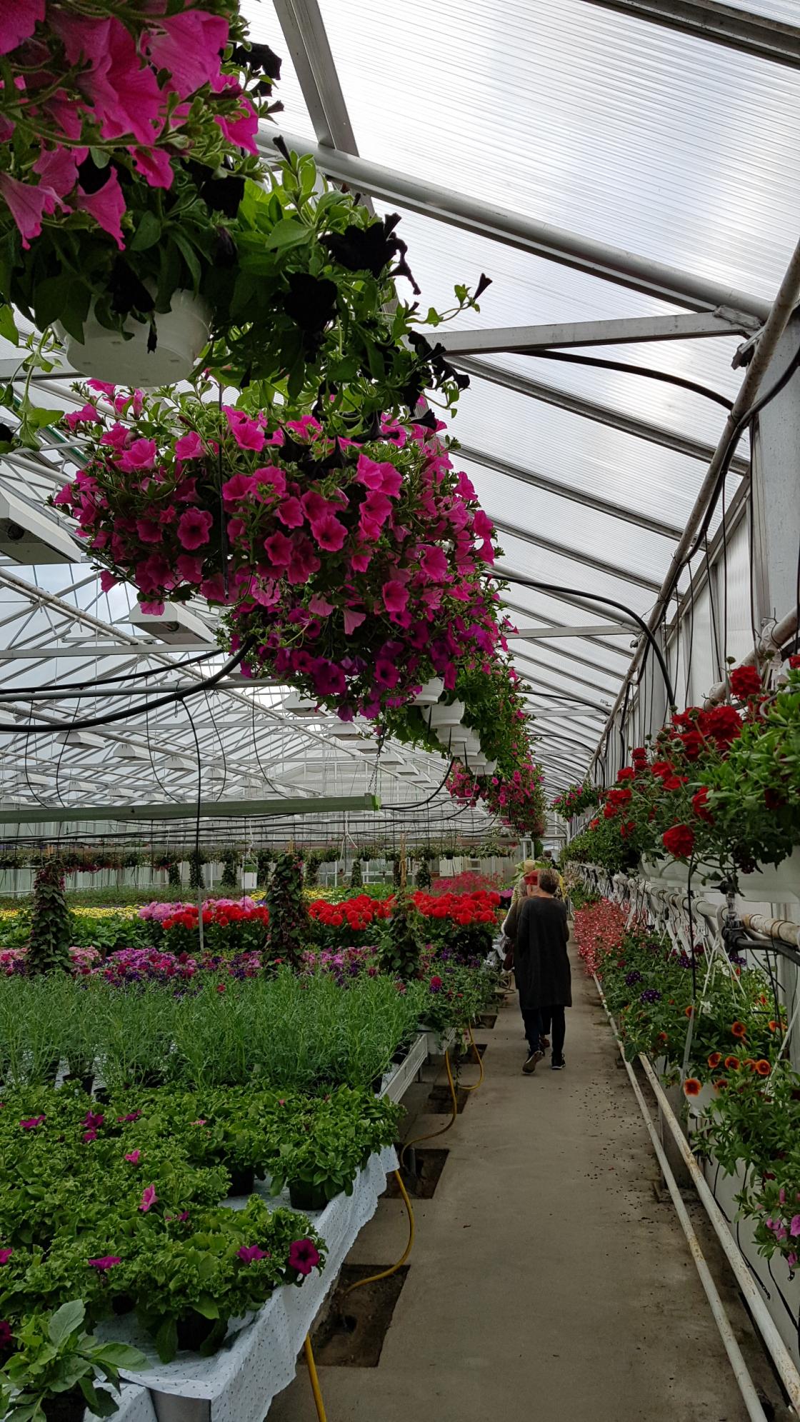 Tusen takk til Eik gartneri for at vi fikk sommer avslutting nettop her med dere