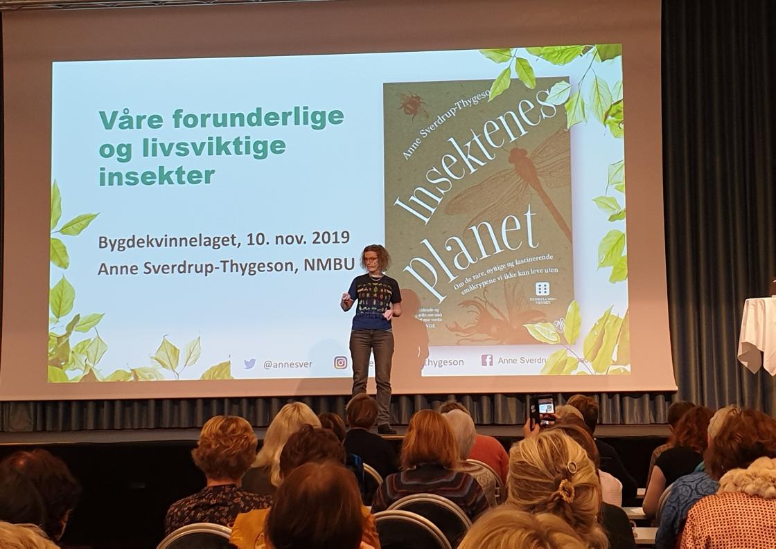 Professor i bevaringsbiologi Anne Sverdrup-Thygeson. Foto: M.Hauso