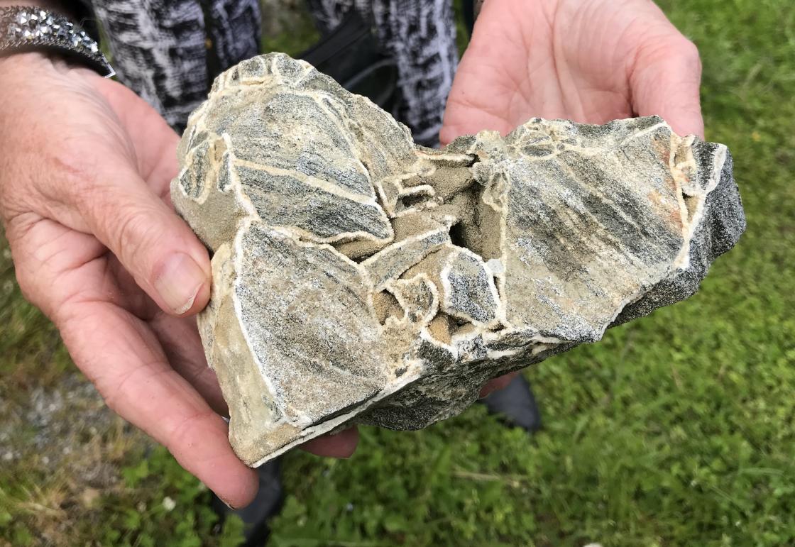 Liv fann nok ein sjelden stein.