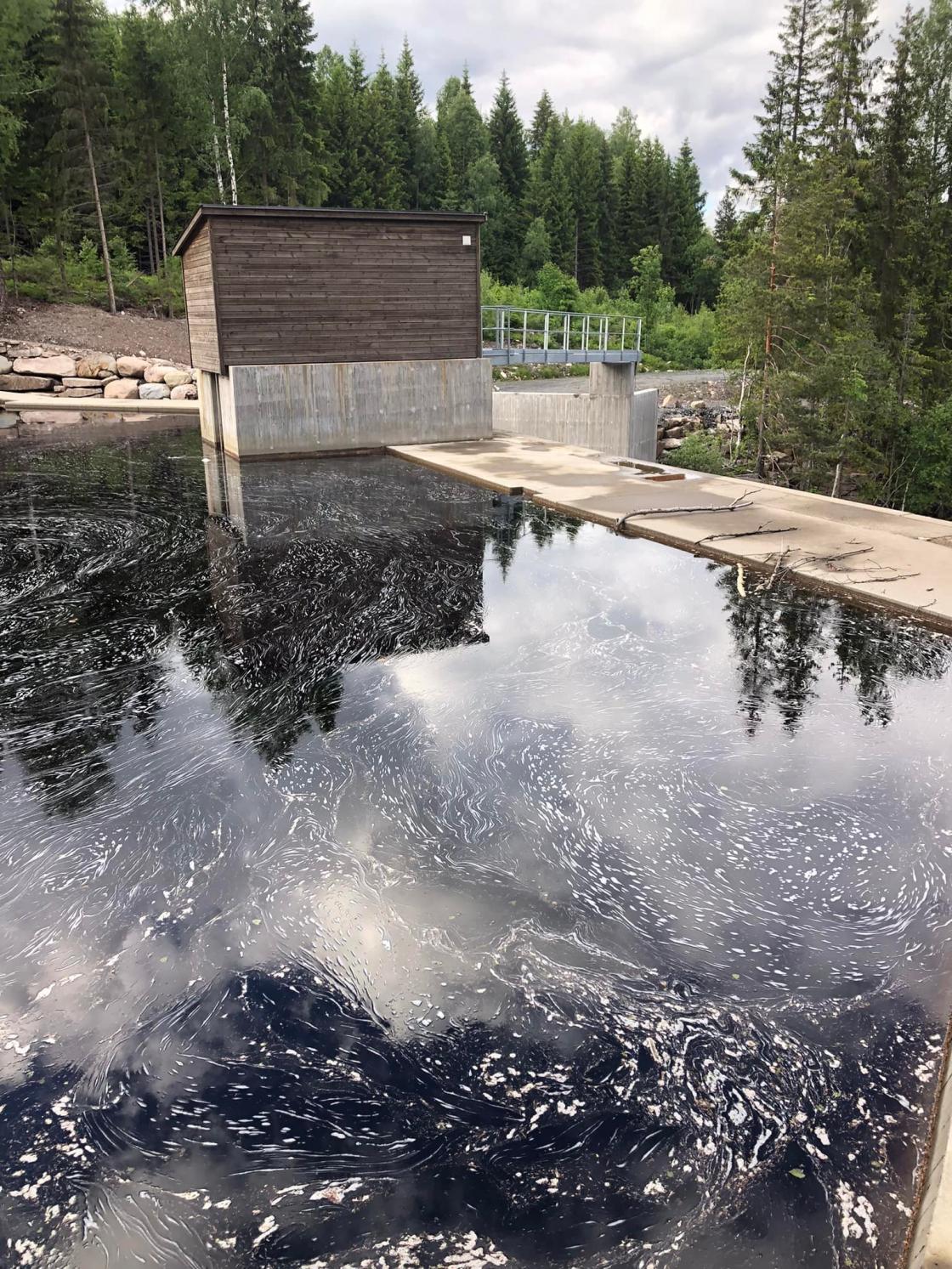 Bygdevandring Passebekk