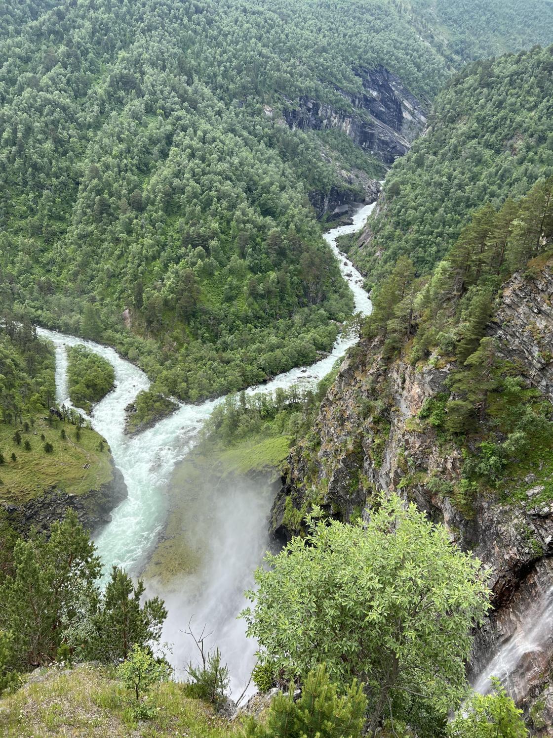 Bilde: Liv Borghild Hildre