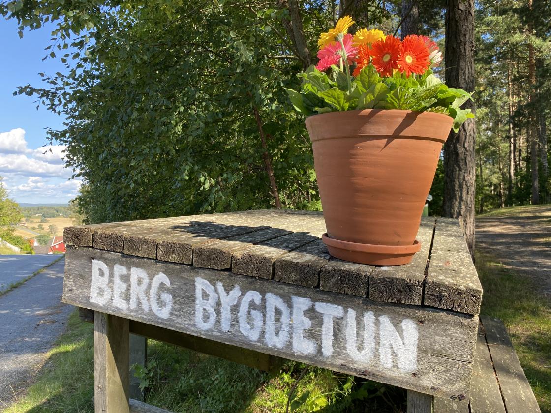 Berg Bygdetun