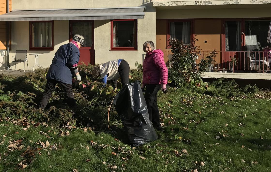 Skvalderkålgjengen Åse, Liv og Rigmor!