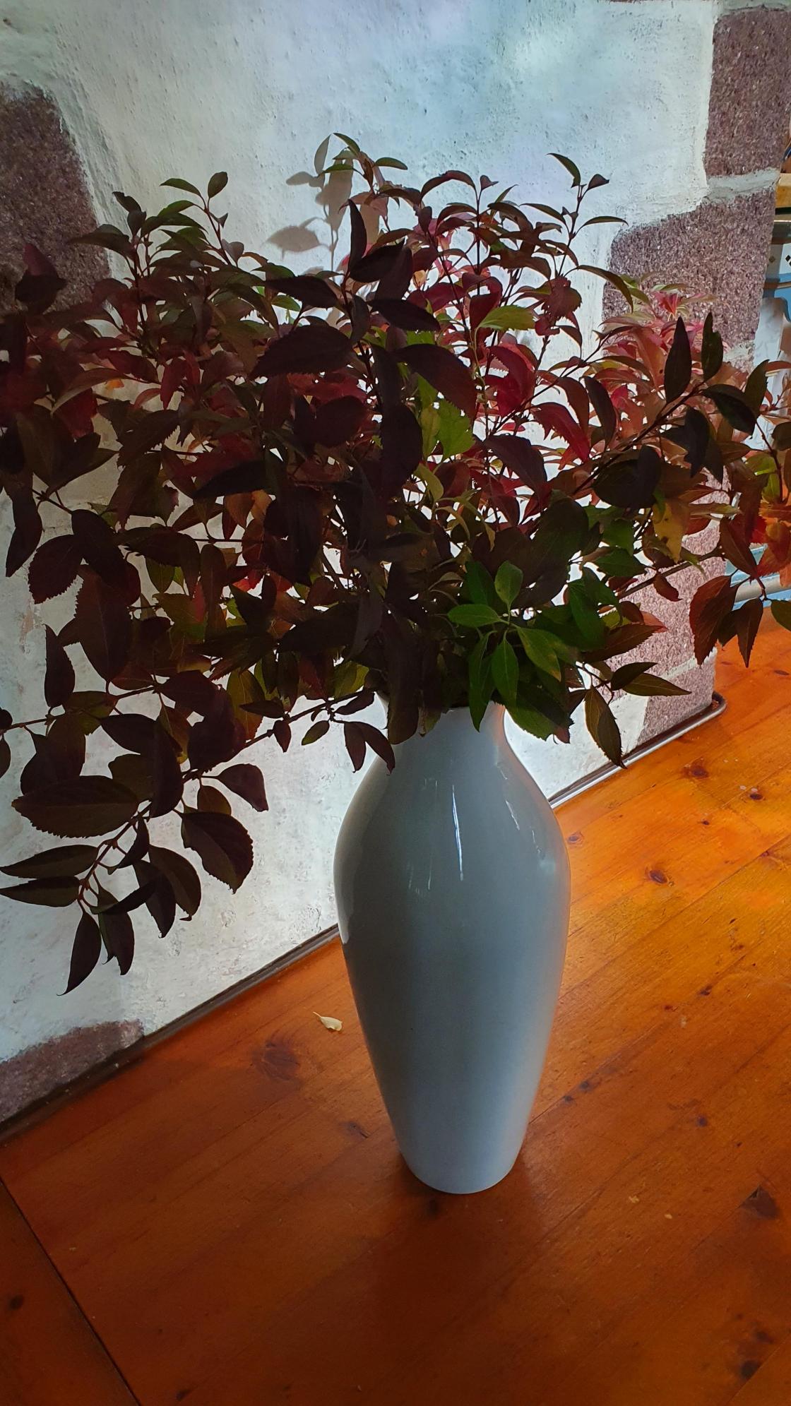 Naturens Flotte høstfarger