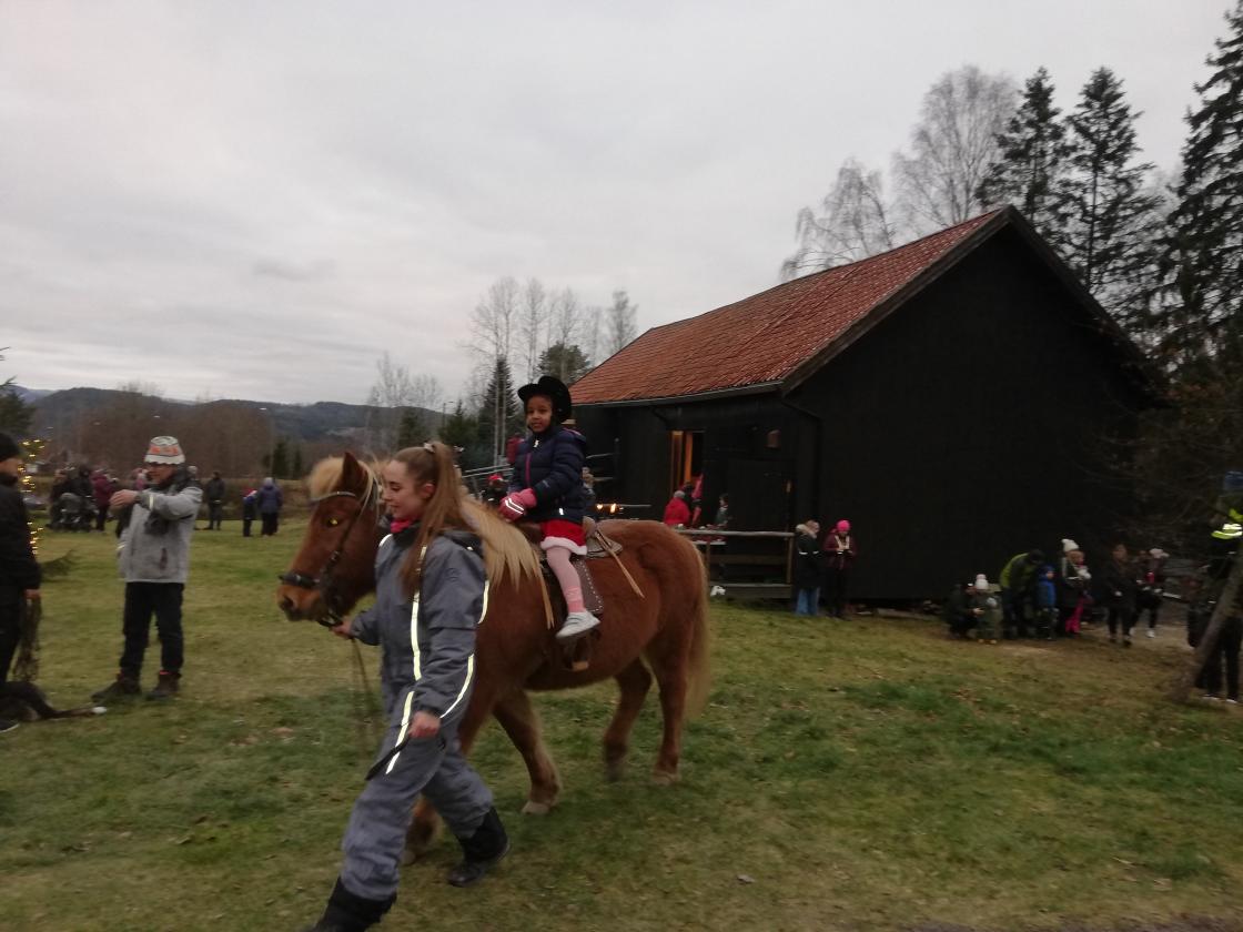 Hestene gikk jevnt hele tia - en alltid populær aktivitet