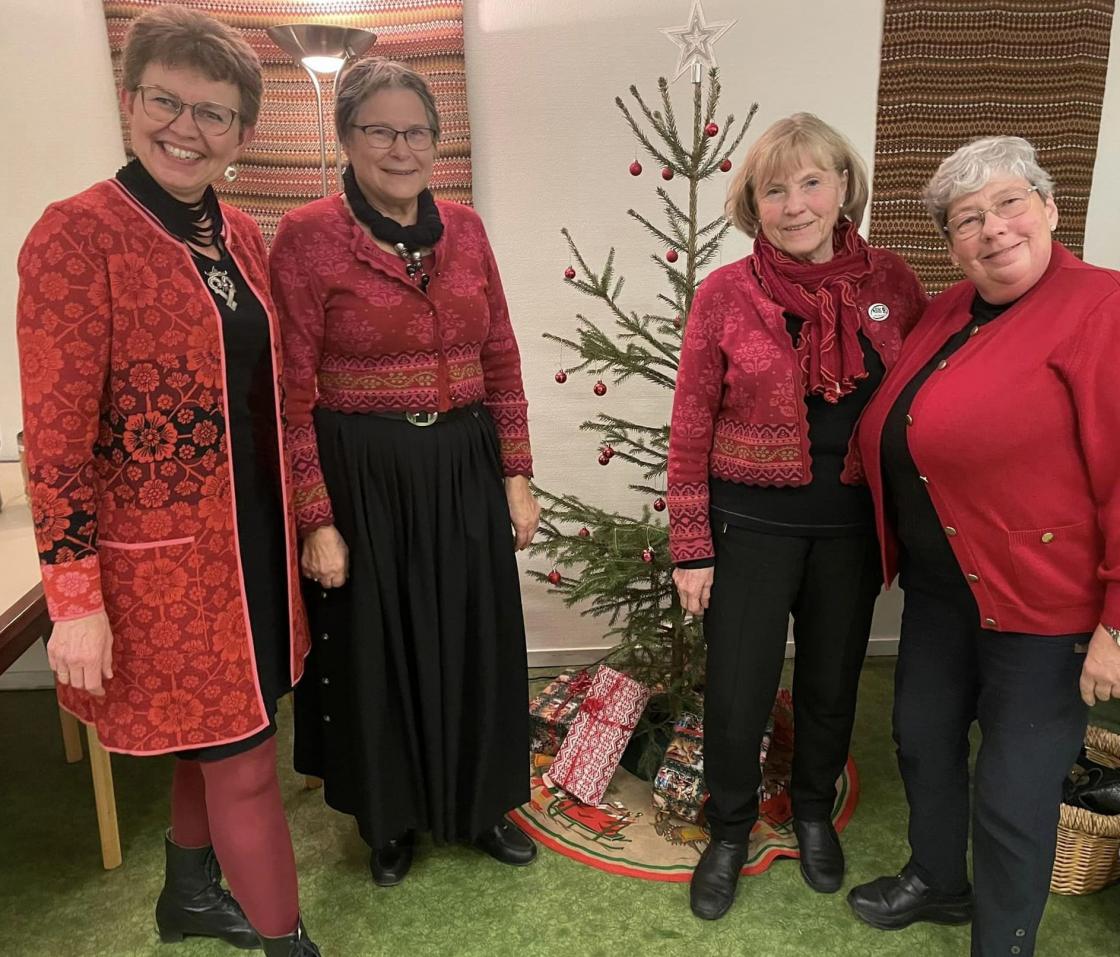 Festkledde bygdekvinner: Kathrine K, Anne Berit F, Tounn S og Åse Kristine G.