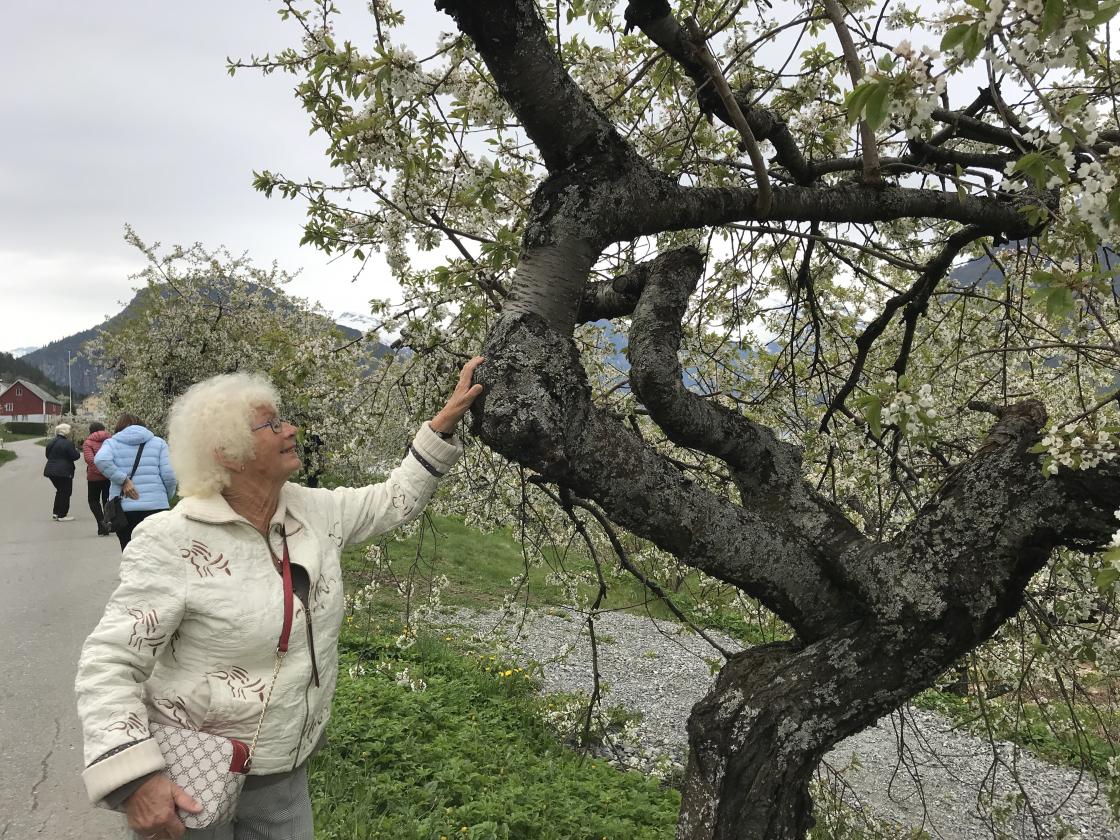 Astrid fann seg eit kunsttre!