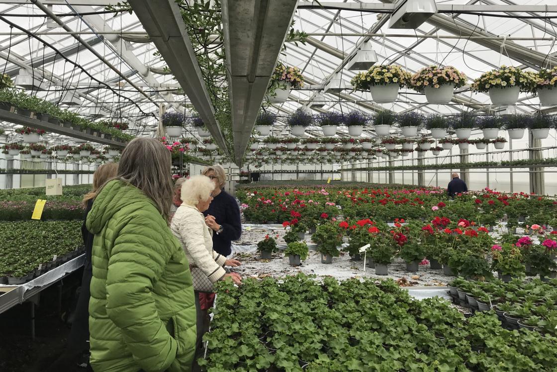 Imponerande vatningssystem overalt.