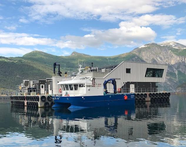 Hofseth sin visningsflåte Ivar Heggen.