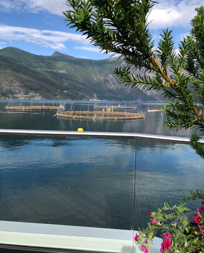 Fiskeanlegget sett på avstand.