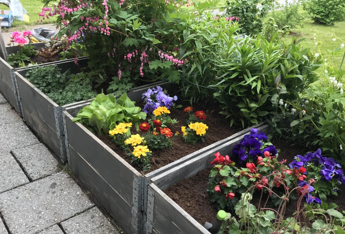 Fine sommarblomster i kasse og krukker.