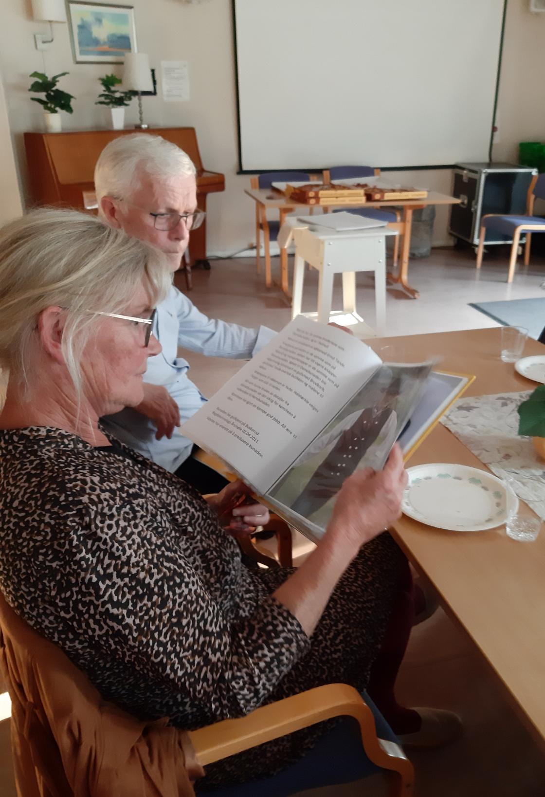 En titt på Nedre Buskerud bunaden