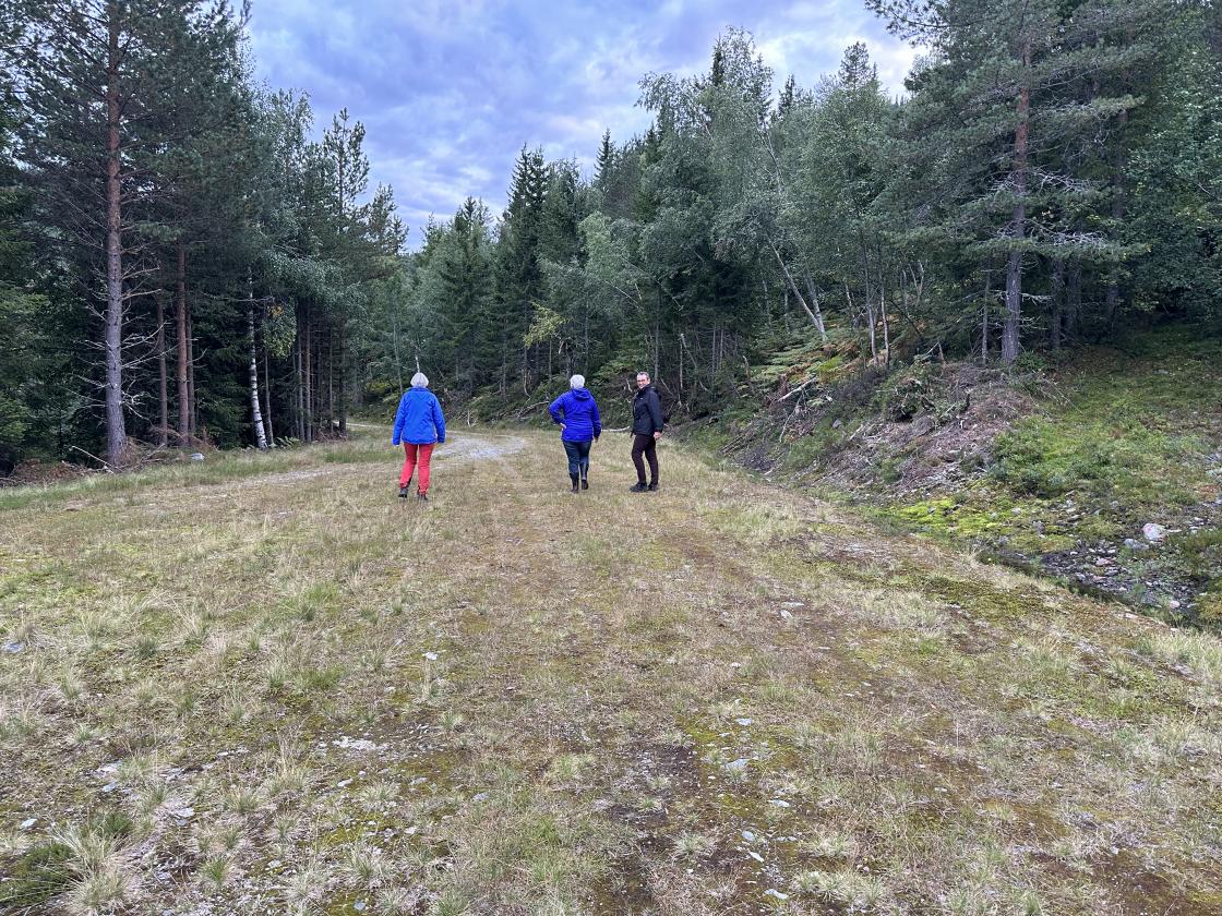 En liten luftetur ute i det fri