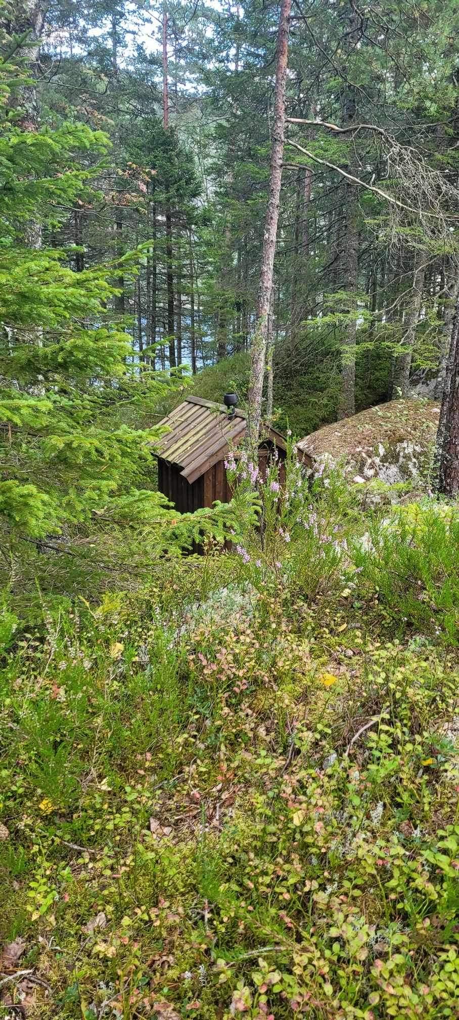 Holmen i Sirdalsvatnet