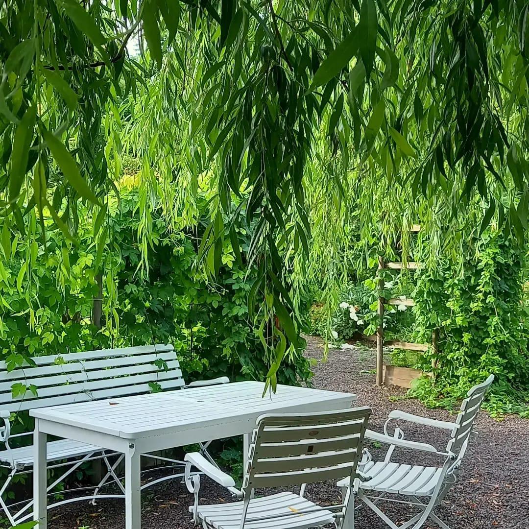 Urtehagen innbyr til en pust i bekken på slutten av dagen